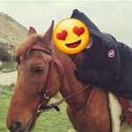 Benafsha Rahimi - @benafsha_rahimi - Instagram