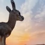 ben ageel - @ben_ageell - Instagram