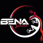Bena_geecko - @bena_geecko - Instagram