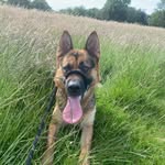 Ben Agnew - @ben_agnew0 - Instagram