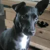 Ben Aherne - @ben.aherne7 - TikTok