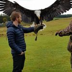 Ben Aitken - @aitkenchild - Instagram