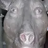 BeN.kArR - @ben.karrd - TikTok