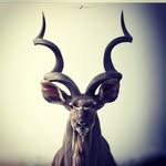 Benak Encupad - @benak_encupad - Instagram