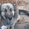 Ben Alan Hernández L - @benalan14 - TikTok