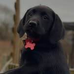 @benaldred_ - Instagram