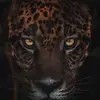 🇲🇦فاروق بنصبوح🇵🇸 - @benalfarouk - TikTok