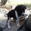benalfaro595 - @benalfaro595 - TikTok