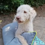 Benjamin Allaway - @benallawayisreal - Instagram