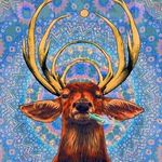 Ben Andersen - @therealbenandersen - Instagram