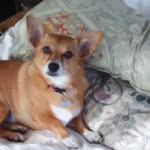 Benny Atchley - @atchleybenny - Instagram