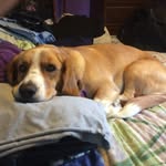 Ben Aubrey - @ben152277_2 - Instagram