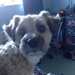 Ben Aubrey - @ihavebeenkilledbywetdog - Instagram