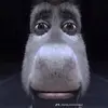 Benaubrey5 - @benaubrey5 - TikTok