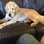Ben Auerbach - @bensonofnatesonofrhoda - Instagram