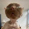 Ben - @ben_auricht - TikTok