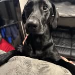 Ben Autry - Facebook