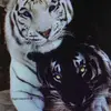 Ben Avalos222 - @benavalos222 - TikTok