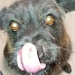 Ben Avalos - @benavalos47 - Instagram