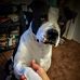 Benjamin Avalos - Facebook