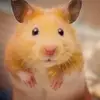Baberben - @baberben0 - TikTok