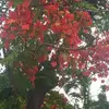 Ben baber - @ben.baber5 - TikTok