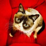 Benjamim Bacchus - @benjamimbacchus - Instagram