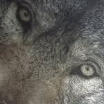 Benjamin Bachman - @benba.chma.n - Instagram
