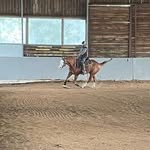 Ben Bachmann - @bachmannbernard - Instagram