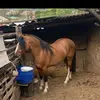 Benjamín Baeza2.0 - @benjamn.baeza - TikTok