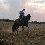 Evaristo benitez - @evaristo_benitez_baeza - Instagram