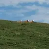 Actros - @ben.baierl - TikTok