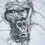 Ben Baird - @baird.benny - Instagram
