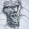 Ben Baird - @ben.baird - TikTok