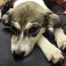 Ben Balbach - Facebook