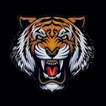 Balboa School Lady Bengals - @ladybalboa_bengals - Instagram