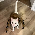 Ben Ballinger - @watchuexpire - Instagram