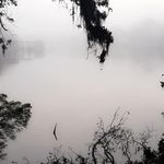 Ben Ballinger - @ballinger_outta_control - Instagram
