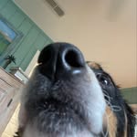 Bennie F. Hall-Ramsey - @benniefrombaltimore - Instagram