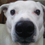 @barter_ben - Instagram