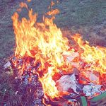 Ben Barter - @benbarter2018 - Instagram