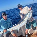 Ben Barwick - @carolinatreefrog - Instagram