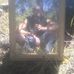 Ben Bauman - Facebook