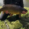 benbaxter68 - @benbaxter68 - TikTok