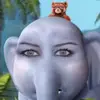benbaxterfanpage67 - @benbaxterfanpage67 - TikTok