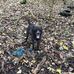 Ben Beadle - Facebook