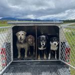 Ben Beadle - @deer_agent - Instagram