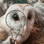 Ben Beazley - @beazley_ben - Instagram