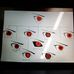 Ben Becher - Facebook