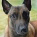 Ben Becher - Facebook